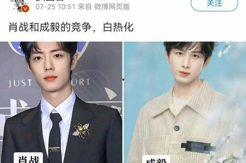 成毅家世爆料最新消息